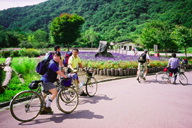 ���a�c�̖쒹�̐X����