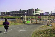 �Ί݂ɓn�鋴�͒ʍs�~��