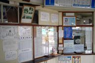 �w�̍\�����w�炵�����͋C