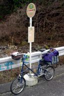 ��q�̏W���̃o�X�͏T��2��??