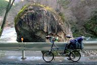 �J�G�����ւɂȂ����Ƃ����`���̊ۊ�