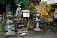 �����n����