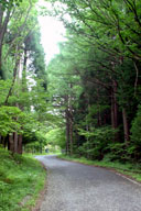 �ѓ����֐��̏o���t��