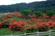 �����Q�E�c�c�W������