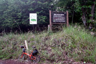 �������c�ԏ���̃s�[�N���z����