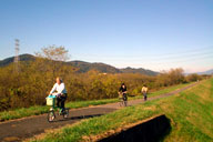 �C�����悭�����