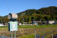 �R�R�E�t�@�[�����߂�