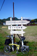 �R�R�E�t�@�[���̓���