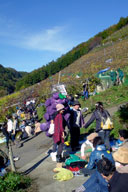 �����̒������