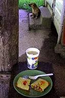 ���H�̃^�}�[���X�ƃO���[�v�t���[�c�E�W���[�X