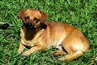 ���H��H�ׂ����X�̌�