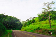 �A�b�v�_�E���̑���Hammingbird Highway