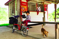 ���������ƕ]���̃^�}�[���X�̓X