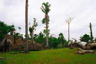 �p�Ђ̂悤�ɂȂ���South Group