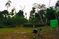 Nim Li Puni��Visirot Center�O