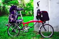 ����ȑ����ŏo��