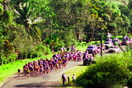 ����o�鎩�]�ԏW�c