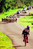 �W�c�����l������