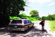 �n�C�E�F�C�ɔn���q����Ă���