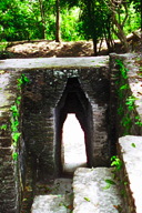 �tV���^�̃}���A�[�`