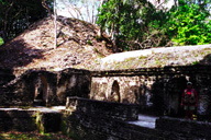 ���H�̂悤�ɓ���g�񂾍\���̌���