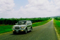 �q��̒����܂��������т铹