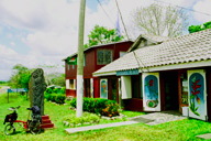 Unitedville�̊ό��݂₰�X