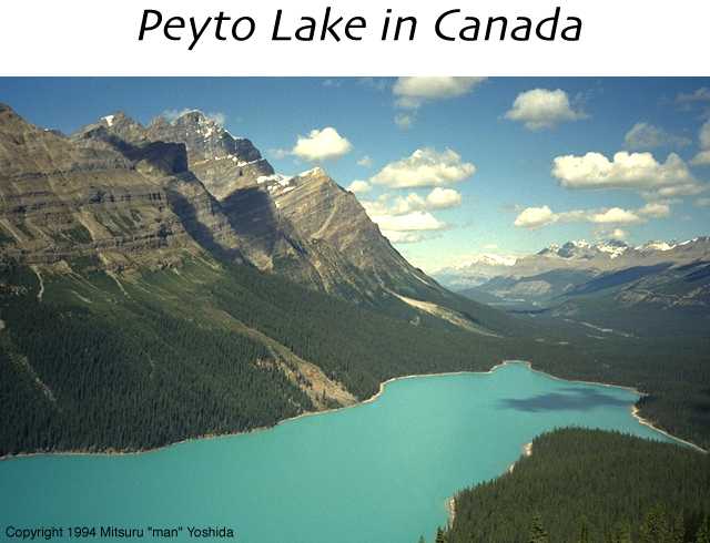 Peyto Lake in Canada