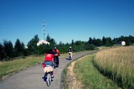 Amazon Creek�����̃T�C�N�����O���[�h�𑖂�