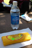 ���H�̓u���[�g