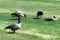 �����ł͐��������낤�낵�Ă���