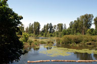 ���������ӂ̌i�F