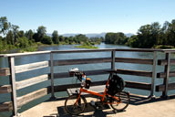 Eugene�s����񕪂���E�B�����b�g��