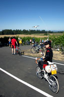 �⋋�|�C���g���X�^�[�g