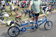 �������ɂ�BF�̃^���f��