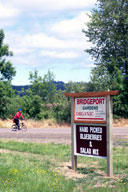 Bridgeport�t�߂𑖂�