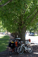 ���I���S����w�ɖ߂�