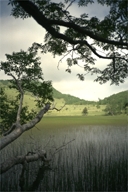 ���ł͎��Ԃ̖��ƌ����铌�_��