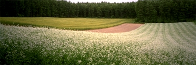 �����Ԃ��炩�����W���K�C��