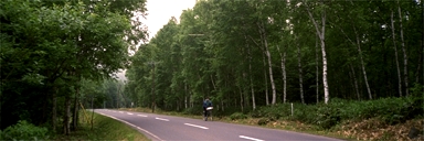 �����̐X�̒��𑖂�