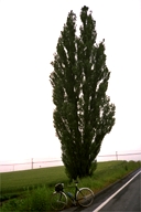 ���l�̃P���ƃ����[�̃|�v���̖�