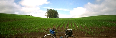 �h���т������猩��