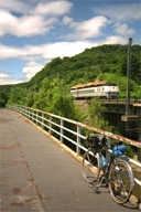 ���ٖ{���e�𑖂�T�C�N�����O���[�h