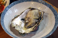 �����ΎU�z�ŕ߂ꂽ�嗱�̉��y