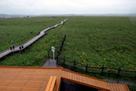 �ؓ��������̒��ɑ����Ă���