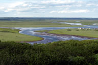 ���i���W�]�䂩�疶���z�����������낷