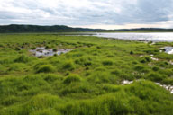 �����i���쒹����