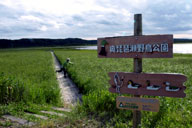 �ؓ�������Ď������y����