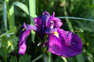 �q�I�E�M�A����