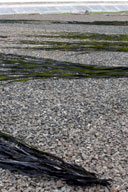 �����������ւ��ꂽ���z��������Ă���